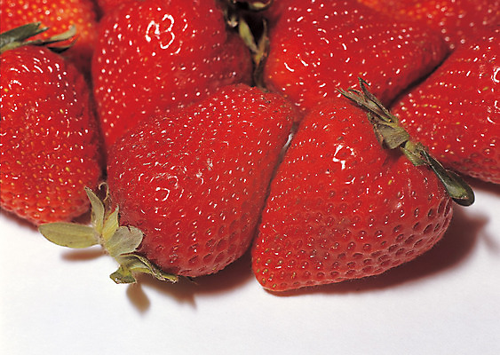 포토 JPG 스튜디오촬영 열매 음식 컬러 다수 과일 딸기 실내 그림자 근접촬영 사람없음 아웃포커스 빨간색 농작물 하이앵글 여러개 꼭지 제철과일 국내포토 식물 뷰포인트 농업 촬영기법 내부 제철 파일형식