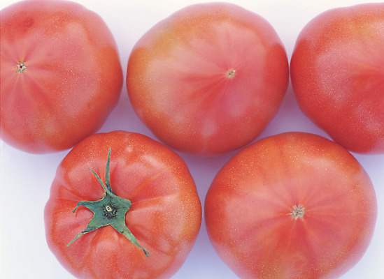 포토 JPG 스튜디오촬영 열매 음식 컬러 토마토 채소 식재료 실내 근접촬영 사람없음 아웃포커스 빨간색 농작물 하이앵글 여러개 꼭지 국내포토 식물 뷰포인트 다수 농업 촬영기법 내부 파일형식