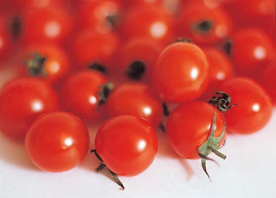 포토 JPG 스튜디오촬영 열매 음식 컬러 다수 백그라운드 토마토 채소 식재료 방울토마토 실내 근접촬영 사람없음 아웃포커스 빨간색 농작물 여러개 꼭지 국내포토 식물 뷰포인트 농업 촬영기법 내부 파일형식