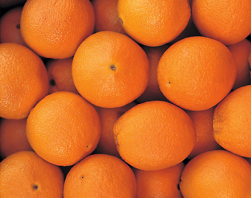 포토 JPG 스튜디오촬영 열매 음식 컬러 다수 백그라운드 오렌지 과일 실내 근접촬영 사람없음 농작물 하이앵글 주황색 여러개 껍질 국내포토 식물 뷰포인트 농업 내부 파일형식