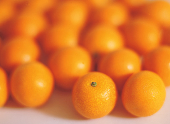 포토 JPG 스튜디오촬영 열매 음식 컬러 다수 백그라운드 과일 실내 사람없음 아웃포커스 농작물 주황색 여러개 금귤 국내포토 식물 농업 귤 촬영기법 내부 파일형식