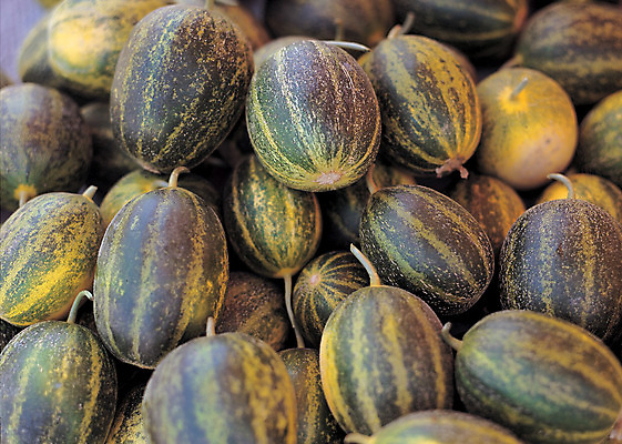 포토 JPG 주간 열매 음식 컬러 다수 백그라운드 과일 사람없음 야외 아웃포커스 초록색 농작물 하이앵글 쌓기 여러개 줄무늬 껍질 꼭지 참외 개구리참외 제철 제철과일 국내포토 자연요소 식물 뷰포인트 무늬 농업 모션 촬영기법 파일형식