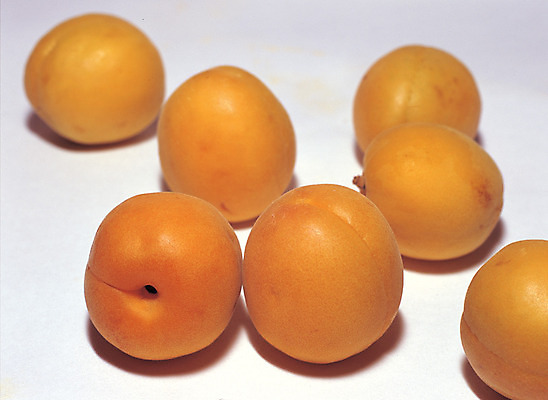 포토 JPG 스튜디오촬영 열매 음식 컬러 다수 실내 누끼 사람없음 아웃포커스 농작물 주황색 여러개 꼭지 살구 국내포토 식물 농업 과일 촬영기법 내부 파일형식