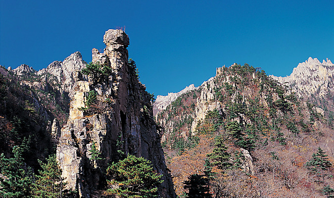 포토 JPG 주간 나무 식물 로우앵글 컬러 자연 하늘 산 한국 파노라마 풍경 사람없음 야외 관광지 돌_바위 바위 돌산 천연기념물 산기슭 금강산 화강암 만물상 국내포토 자연요소 아시아 뷰포인트 여행 바위산 촬영기법 암석 생태계 파일형식