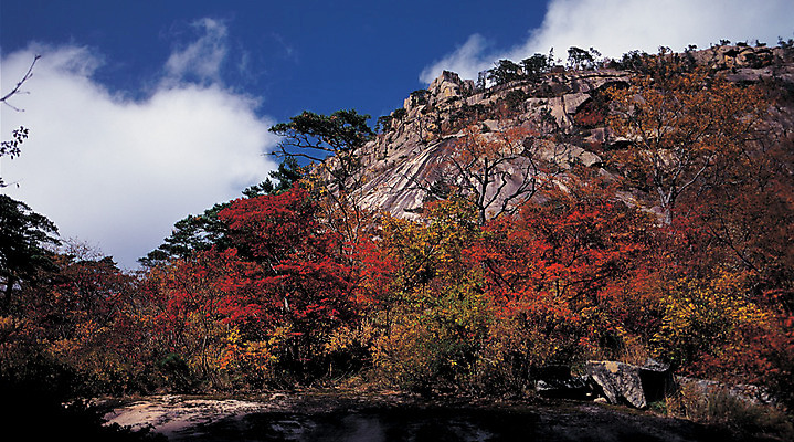 포토 JPG 주간 나무 식물 구름 계절 로우앵글 컬러 단풍 자연 하늘 단풍나무 산 한국 파노라마 풍경 사람없음 야외 관광지 가을 돌_바위 바위 돌산 산기슭 금강산 국내포토 자연요소 아시아 뷰포인트 여행 잎 촬영기법 생태계 파일형식