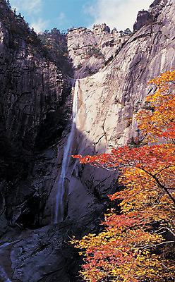 포토 JPG 주간 나무 식물 구름 계절 로우앵글 컬러 단풍 자연 하늘 단풍나무 산 한국 파노라마 풍경 사람없음 야외 물 관광지 폭포 흐름 가을 돌_바위 바위 떨어짐 돌산 산기슭 금강산 국내포토 자연요소 아시아 뷰포인트 여행 컨셉 잎 촬영기법 생태계 파일형식