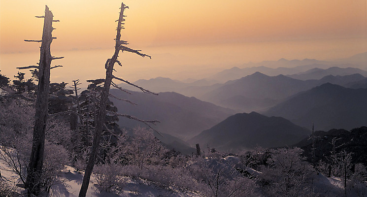 포토 JPG 주간 나무 식물 구름 계절 컬러 겨울 자연 하늘 산 한국 파노라마 풍경 사람없음 야외 관광지 노을 정상 숲 경상북도 경상도 소백산 영주 국내포토 자연요소 아시아 여행 촬영기법 생태계 단양 파일형식