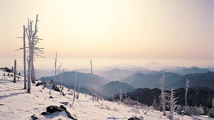 포토 JPG 주간 나무 식물 계절 컬러 겨울 자연 하늘 산 한국 파노라마 그림자 풍경 사람없음 야외 관광지 눈 정상 숲 전라북도 전라도 남원 지리산 국내포토 자연요소 아시아 여행 날씨 촬영기법 생태계 산청 파일형식