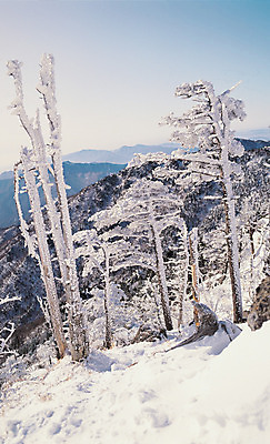 포토 JPG 주간 나무 식물 계절 컬러 겨울 자연 하늘 산 한국 눈꽃 파노라마 풍경 사람없음 야외 관광지 눈 정상 숲 전라북도 전라도 남원 지리산 국내포토 자연요소 아시아 여행 날씨 눈_날씨 촬영기법 생태계 산청 파일형식