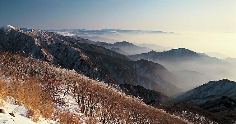 포토 JPG 주간 나무 식물 계절 컬러 겨울 자연 하늘 산 한국 파노라마 풍경 사람없음 야외 관광지 하이앵글 정상 경상북도 경상도 소백산 영주 국내포토 자연요소 아시아 뷰포인트 여행 촬영기법 생태계 단양 파일형식