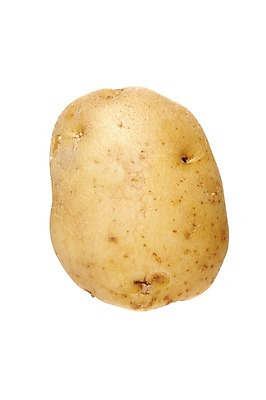 포토 JPG 스튜디오촬영 음식 채소 식재료 감자 뿌리채소 실내 사람없음 농작물 한개 국내포토 1 농업 내부 파일형식