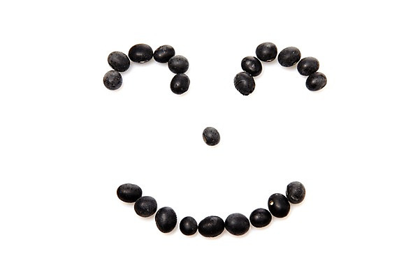 포토 JPG 스튜디오촬영 음식 식재료 콩 곡류 실내 표정 웃음 사람없음 농작물 검은색 잡곡 검은콩 검정콩 국내포토 컬러 농업 내부 파일형식