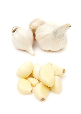 포토 JPG 스튜디오촬영 음식 다수 채소 식재료 실내 마늘 사람없음 농작물 여러개 흰색 국내포토 컬러 농업 내부 파일형식