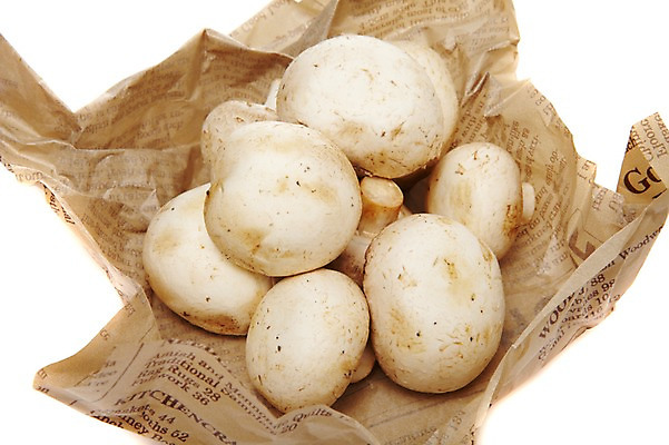 포토 JPG 스튜디오촬영 종이 음식 다수 식재료 실내 사람없음 농작물 여러개 버섯 식용버섯 양송이 국내포토 농업 내부 파일형식