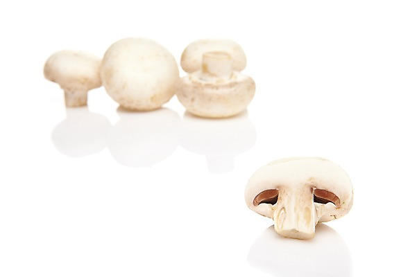 포토 JPG 스튜디오촬영 음식 다수 식재료 단면 실내 누끼 사람없음 농작물 여러개 버섯 슬라이스 식용버섯 양송이 국내포토 농업 내부 파일형식