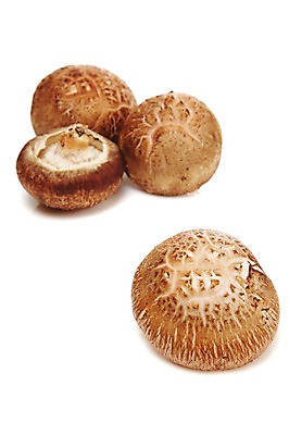 포토 JPG 스튜디오촬영 음식 다수 식재료 실내 누끼 사람없음 농작물 여러개 버섯 식용버섯 표고버섯 국내포토 농업 내부 파일형식