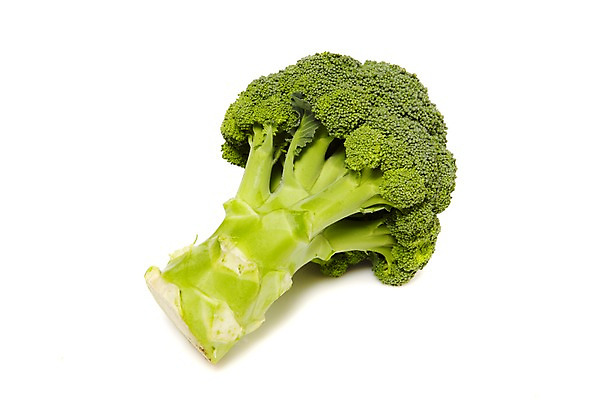 포토 JPG 스튜디오촬영 음식 채소 식재료 실내 사람없음 초록색 농작물 한개 브로콜리 국내포토 1 컬러 농업 내부 파일형식