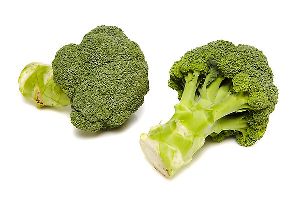 포토 JPG 스튜디오촬영 음식 채소 식재료 실내 사람없음 초록색 농작물 두개 브로콜리 국내포토 컬러 2 농업 내부 파일형식