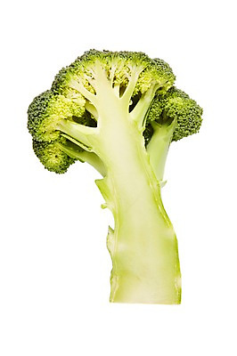 포토 JPG 스튜디오촬영 음식 채소 식재료 단면 실내 사람없음 초록색 농작물 한개 브로콜리 슬라이스 국내포토 1 컬러 농업 내부 파일형식