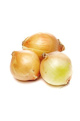 포토 JPG 스튜디오촬영 음식 채소 식재료 양파 실내 사람없음 농작물 세개 국내포토 농업 3 내부 파일형식