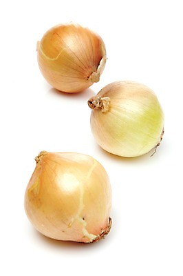 포토 JPG 스튜디오촬영 음식 채소 식재료 양파 실내 사람없음 농작물 세개 국내포토 농업 3 내부 파일형식