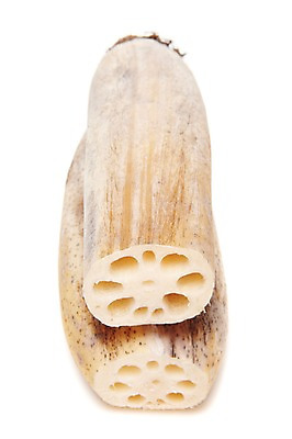 포토 JPG 스튜디오촬영 음식 채소 식재료 단면 뿌리채소 실내 사람없음 농작물 두개 흰색 슬라이스 연근 국내포토 컬러 2 농업 내부 파일형식