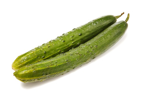 포토 JPG 스튜디오촬영 음식 채소 식재료 오이 실내 사람없음 초록색 농작물 두개 국내포토 컬러 2 농업 내부 파일형식