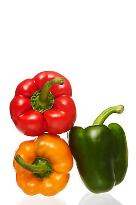포토 JPG 스튜디오촬영 음식 채소 식재료 파프리카 실내 사람없음 빨간색 초록색 농작물 노란색 세개 국내포토 컬러 농업 3 내부 파일형식