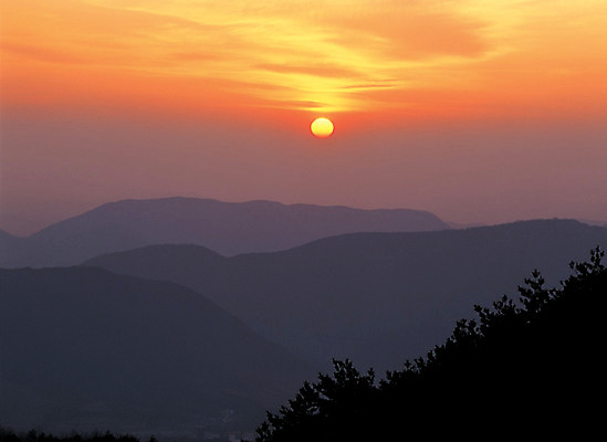 포토 JPG 주간 나무 컬러 자연 하늘 산 풍경 사람없음 야외 일출 노을 일몰 정상 국내포토 자연요소 식물 생태계 파일형식