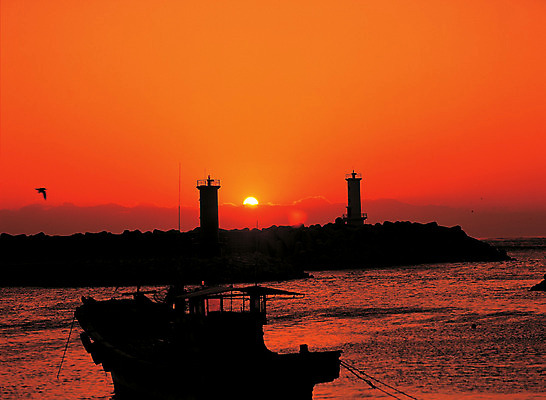 포토 JPG 주간 구름 파도 바다 컬러 자연 조류 하늘 등대 풍경 사람없음 야외 일출 노을 일몰 어선 방파제 선박 국내포토 자연요소 동물 공공시설 수상교통 배_교통 생태계 파일형식