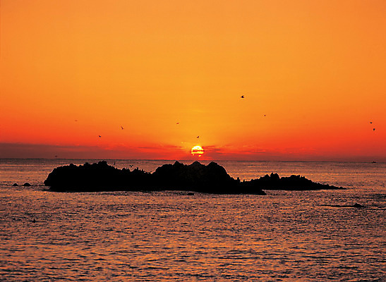 포토 JPG 아시아 바다 컬러 섬 자연 조류 한국 풍경 해변 사람없음 야외 일출 일몰 돌_바위 바위 경주 수면 야간 경상북도 경상도 바위섬 문무대왕릉 문무왕릉 수중릉 국내포토 자연요소 동물 나라 물 노을 생태계 왕릉 파일형식