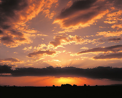 포토 JPG 주간 구름 컬러 자연 하늘 풍경 사람없음 야외 일출 노을 일몰 국내포토 자연요소 생태계 파일형식
