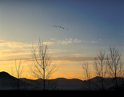 포토 JPG 주간 나무 식물 구름 컬러 자연 조류 하늘 산 풍경 사람없음 야외 일출 노을 일몰 국내포토 자연요소 동물 생태계 파일형식