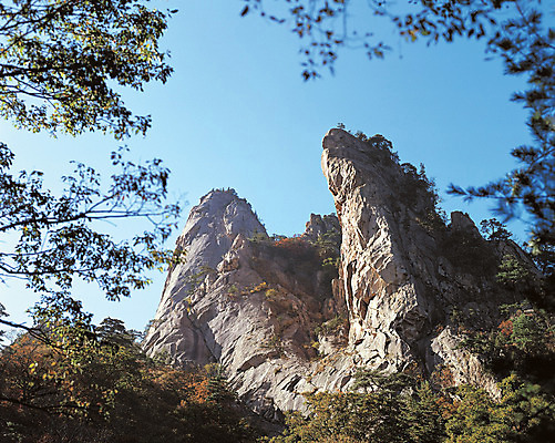 포토 JPG 주간 나무 식물 계절 컬러 자연 하늘 산 한국 국립공원 풍경 사람없음 야외 관광지 가을 돌_바위 바위 정상 돌산 강원도 설악산 인제군 국내포토 자연요소 공원 아시아 여행 생태계 인제 파일형식