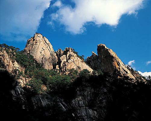 포토 JPG 주간 나무 식물 구름 컬러 자연 하늘 산 한국 국립공원 풍경 사람없음 야외 관광지 돌_바위 바위 정상 돌산 강원도 설악산 인제군 국내포토 자연요소 공원 아시아 여행 생태계 인제 파일형식
