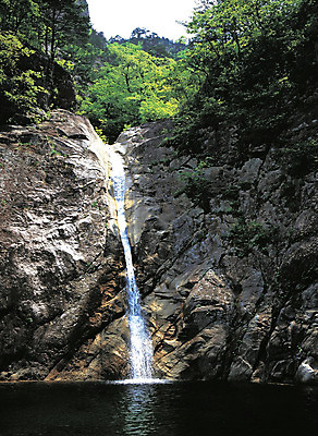 포토 JPG 주간 나무 식물 컬러 자연 한국 국립공원 풍경 사람없음 야외 물 폭포 흐름 돌_바위 바위 떨어짐 강원도 비룡폭포 설악산 국내포토 자연요소 공원 아시아 컨셉 산 생태계 속초 인제 파일형식