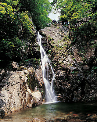 포토 JPG 주간 나무 식물 컬러 자연 산 한국 사람 풍경 야외 물 관광지 등산 폭포 흐름 돌_바위 바위 떨어짐 등산객 경상북도 경상도 소백산 영주 희방폭포 국내포토 자연요소 아시아 여행 컨셉 트래킹 생태계 단양 파일형식