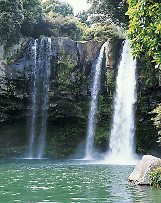 포토 JPG 주간 식물 아시아 컬러 자연 한국 이끼 풍경 사람없음 야외 물 관광지 제주도 폭포 돌_바위 바위 연못 산기슭 천지연폭포 국내포토 자연요소 나라 여행 산 생태계 파일형식