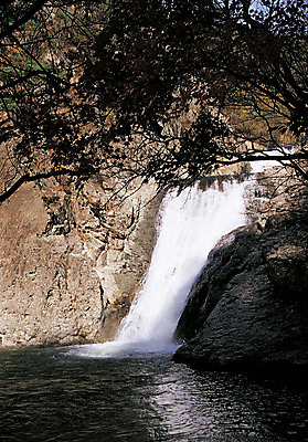 포토 JPG 나무 식물 컬러 자연 산 한국 국립공원 풍경 사람없음 야외 관광지 폭포 돌_바위 바위 경상북도 경상도 주왕산 청송 국내포토 공원 아시아 여행 생태계 파일형식