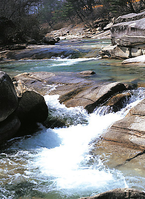 포토 JPG 주간 컬러 자연 산 풍경 사람없음 야외 물 골짜기 계곡 흐름 돌_바위 바위 숲 산기슭 국내포토 자연요소 컨셉 생태계 파일형식
