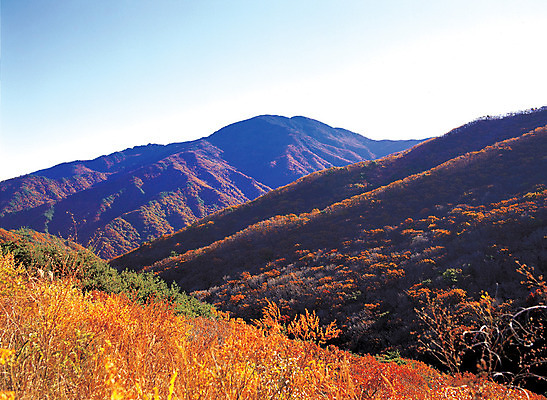 포토 JPG 주간 컬러 단풍 자연 하늘 산 풍경 사람없음 야외 풀 경상도 경상남도 지리산 국내포토 자연요소 식물 잎 한국 생태계 산청 파일형식