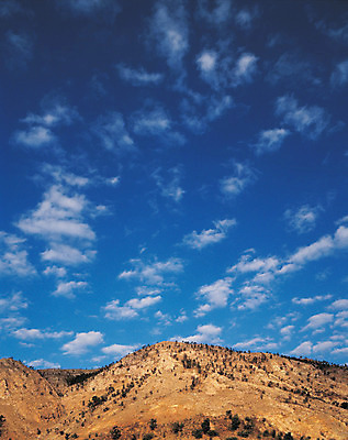 포토 JPG 주간 나무 구름 컬러 자연 하늘 산 풍경 사람없음 야외 파란색 맑음 흰구름 국내포토 자연요소 식물 날씨 생태계 파일형식 구름_자연
