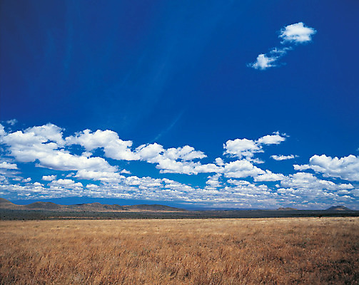 포토 JPG 주간 구름 컬러 자연 하늘 풍경 초원 사람없음 야외 파란색 맑음 흰구름 국내포토 자연요소 날씨 생태계 파일형식 구름_자연
