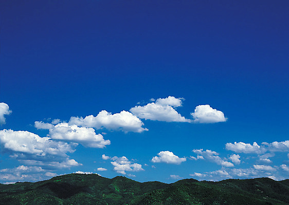 포토 JPG 주간 나무 구름 컬러 자연 하늘 산 풍경 사람없음 야외 파란색 맑음 숲 흰구름 국내포토 자연요소 식물 날씨 생태계 파일형식 구름_자연