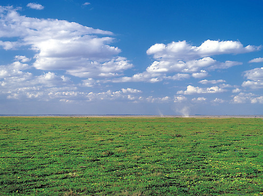 포토 JPG 주간 구름 컬러 자연 하늘 풍경 잔디 초원 사람없음 야외 초록색 파란색 맑음 흰구름 국내포토 자연요소 식물 날씨 생태계 파일형식 구름_자연