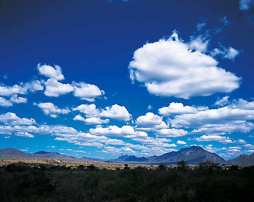 포토 JPG 주간 나무 구름 컬러 자연 하늘 산 풍경 사람없음 야외 파란색 맑음 흰구름 국내포토 자연요소 식물 날씨 생태계 파일형식 구름_자연