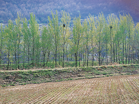 포토 JPG 주간 나무 식물 컬러 자연 논 풍경 사람없음 야외 농촌 시골 둥지 숲 댐 국내포토 자연요소 공공시설 농업 생태계 파일형식