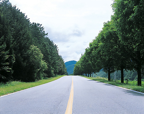 포토 JPG 주간 나무 식물 도로 길 교통시설 산 거리 거리풍경 풍경 사람없음 야외 원근감 차도 아스팔트 가로수 중앙선 차선_도로 국내포토 자연요소 뷰포인트 교통 시설 파일형식