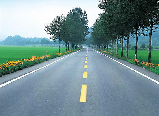 포토 JPG 주간 나무 식물 도로 길 교통시설 거리 거리풍경 초원 사람없음 야외 원근감 차도 아스팔트 가로수 중앙선 차선_도로 국내포토 자연요소 뷰포인트 교통 풍경 시설 파일형식