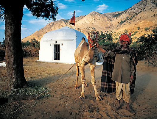 포토 JPG 주간 나무 식물 동물 해외풍경 해외 건축물 남자 아시아 교통수단 포유류 한명 서기 사람 야외 건물 가축 사막 인도 인도인 낙타 남자만 남자한명만 국내포토 자연요소 외국인 1 건축 나라 교통 모션 동양인 풍경 파일형식